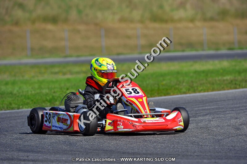 DSC_ (1293).jpg